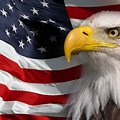 High Resolution Bald Eagle American Flag