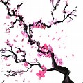Hokusai Japanese Pastel Drawings Cherry Blossom