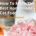 Homemade Whole Cooked Chicken Cat Food