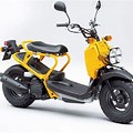 Honda Moped Zoomer