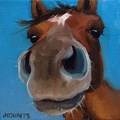 Horse Funny Art On Canvas