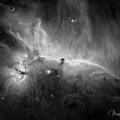 Horsehead Nebula Black and White