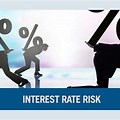 Interest Rate Risk in Business Definition