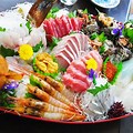 Japanese Food Sushi Sashimi