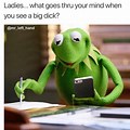 Kermit the Frog Cartoon Meme