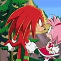 Knuckles and Amy Rose Sonic X