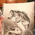 Largemouth Bass Fish Drawing