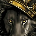 Lion with Crown On Head Screensaver