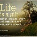 Live Your Life Quotes and Sayings