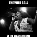 Lizzo Whale Meme Flute