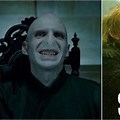 Lord Voldemort Memes Acadebra