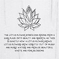 Lotus Flower Meaning Gojo Jjk