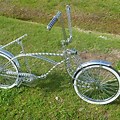 Lowrider Bicycle with a Grille