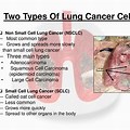 Lung Cancer Cell Types