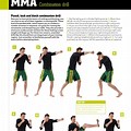 MMA Conditioning Workout