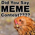 Meme Contest Theme Ideas