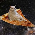 Meme Pizza Cute Cat