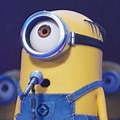 Minions Singing Stay Now