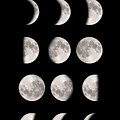 Moon Phases Print Out Art