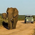Nacionalni Parkovi U Africi