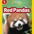 National Geographic Kids Red Panda
