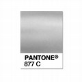 Pantone 877C Silver