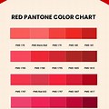 Pantone Red Color Swatch