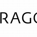 Paragon Company Michigan