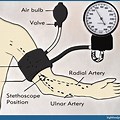 Parts of a Blood Pressure Cuff