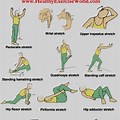 Passive Stretching Exercises