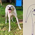 Person Dog Drawing Meme