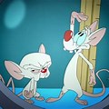 Pinky and the Brain Animaniacs Wcostram
