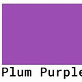 Plum Purple Color