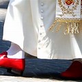 Pope Red Velvet Shoes