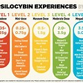Psilocybin Dosage Chart