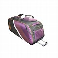Purple Cricket Bag