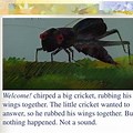 Quiet Little Cricket