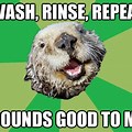 Rinse and Repeat Meme