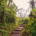 Santa Elena Cloud Forest Costa Rica