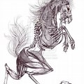 Scary Horse Skeleton Clip Art