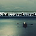 Seek What It Means