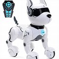 Seven to Eight Inches Big Robot Dog