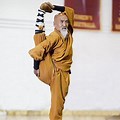 Shaolin Martial Arts America Grand Master The