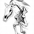 Skeleton Horse Head Clip Art