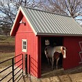 Small 2 Horse Barn