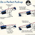 Standard Push-Up Positions