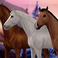 Star Stable Horse Warmblood