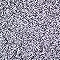 Static TV Screen Jpg