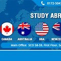 Study Visa Flex Board