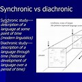 Synchronic Study
